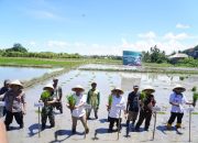 Bupati Jeneponto Hadiri Gerakan Tanam Padi Serentak 14 Provinsi Bersama Presiden RI via Zoom