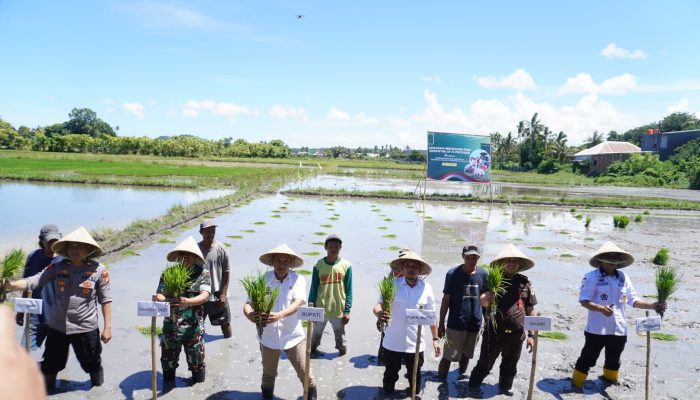 Bupati Jeneponto Hadiri Gerakan Tanam Padi Serentak 14 Provinsi Bersama Presiden RI via Zoom