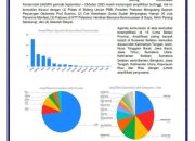 Humas Pemkab Jeneponto Raih Peringkat Kedua Nasional dalam Amplifikasi Agenda Setting Komunikasi Pemerintah